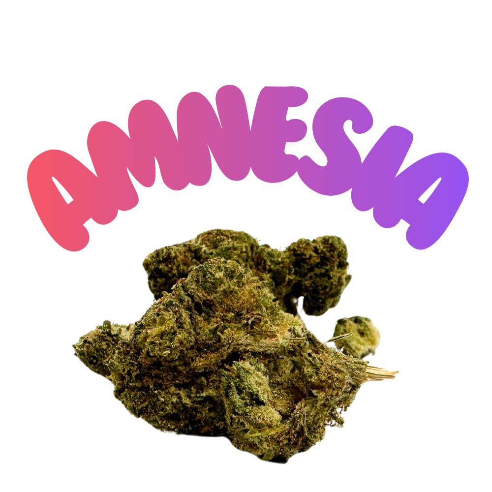 Amnesia Haze H2 20% Ansicht 4