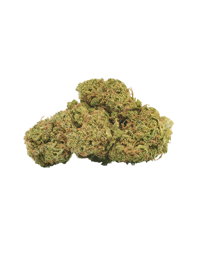 CBD 4er Pre Roll - Harlequin