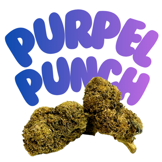 Purple Punch 4er Pre Roll H2 27% - Grinsekatzen Indoor, beerig-traubig fruchtig