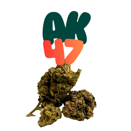 AK-47 HHC Blüten Premium 24% H2 - Grinsekatzen Indoor, erdig-holzig leicht süßlich