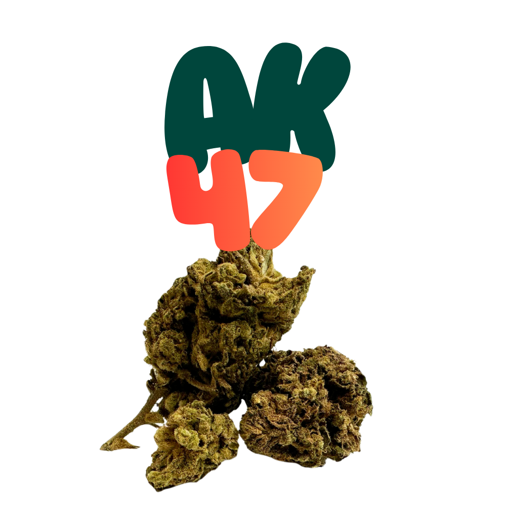 AK-47 H2 24% Ansicht 3
