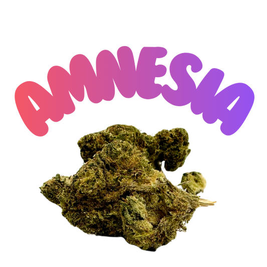 Amnesia Haze HHC Blüten 20% H2 - Grinsekatzen Standard, zitrusartig-frisch leicht erdig