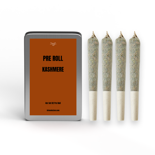 H2 4er Pre Roll - Kaschmere Black Ultra Strong 30%