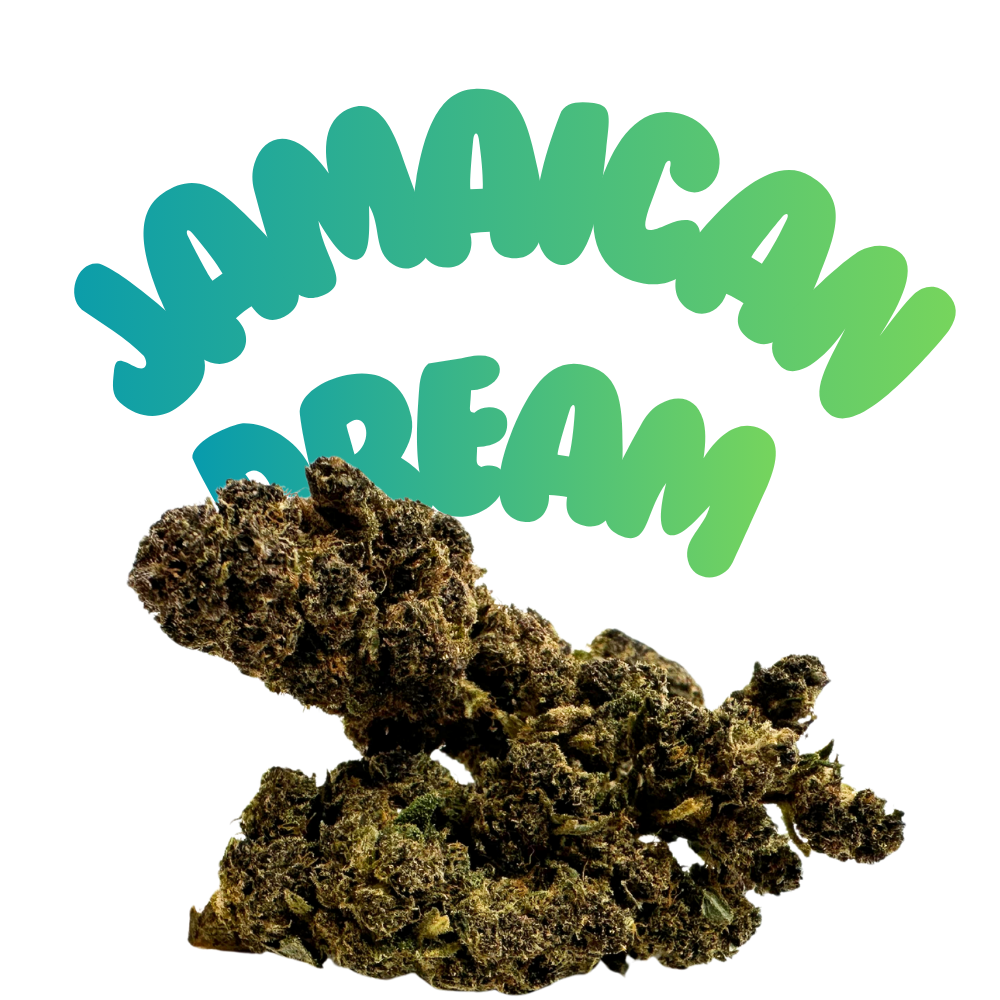 Jamaican Dream HHC Blüten 22% H2 - Grinsekatzen, tropisch-fruchtig leicht süß