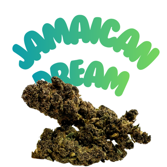 Jamaican Dream 4er Pre Roll H2 22% - Grinsekatzen, tropisch-fruchtig leicht süß