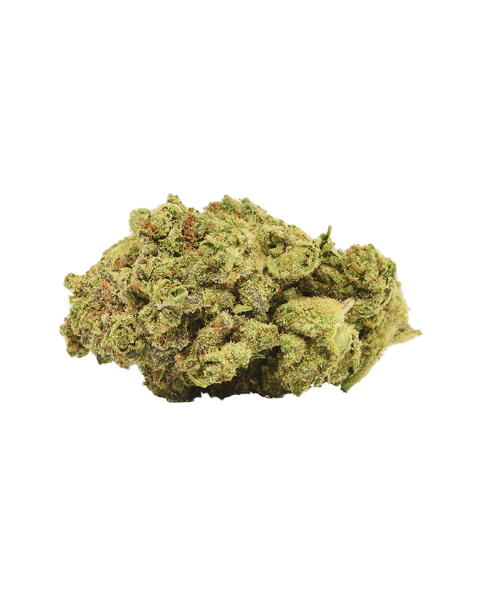 CBD 4er Pre Roll - Silver Bud