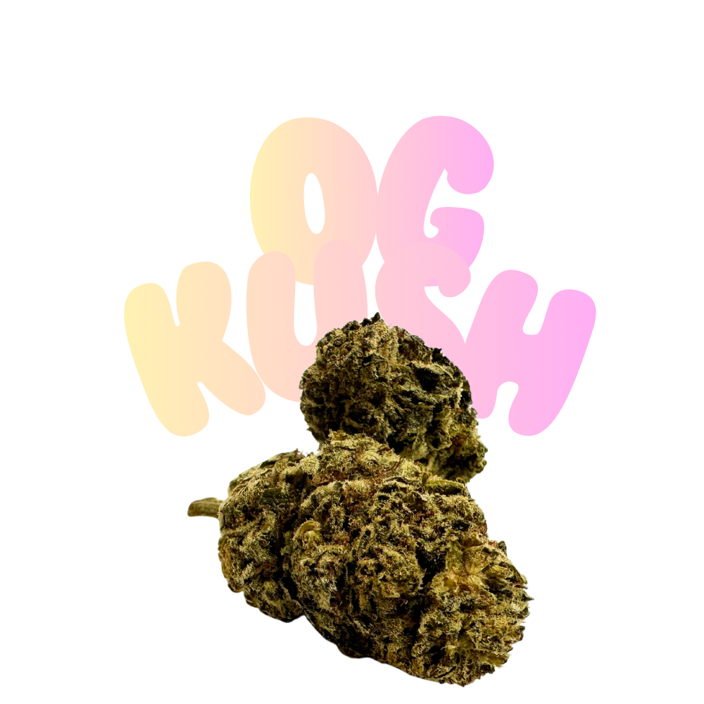 OG Kush HHC Blüten Premium 28% H2 - Grinsekatzen Indoor-Qualität, erdig-kiefernartig würzig
