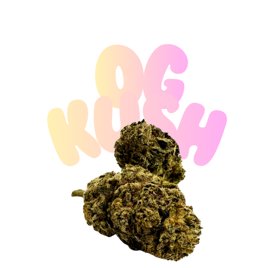 OG Kush HHC Blüten Premium 28% H2 - Grinsekatzen Indoor-Qualität, erdig-kiefernartig würzig
