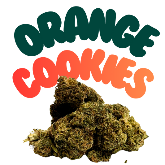 Orange Cookies 4er Pre Roll H2 21% - Grinsekatzen, süß-zitrusartig mit Vanille-Note