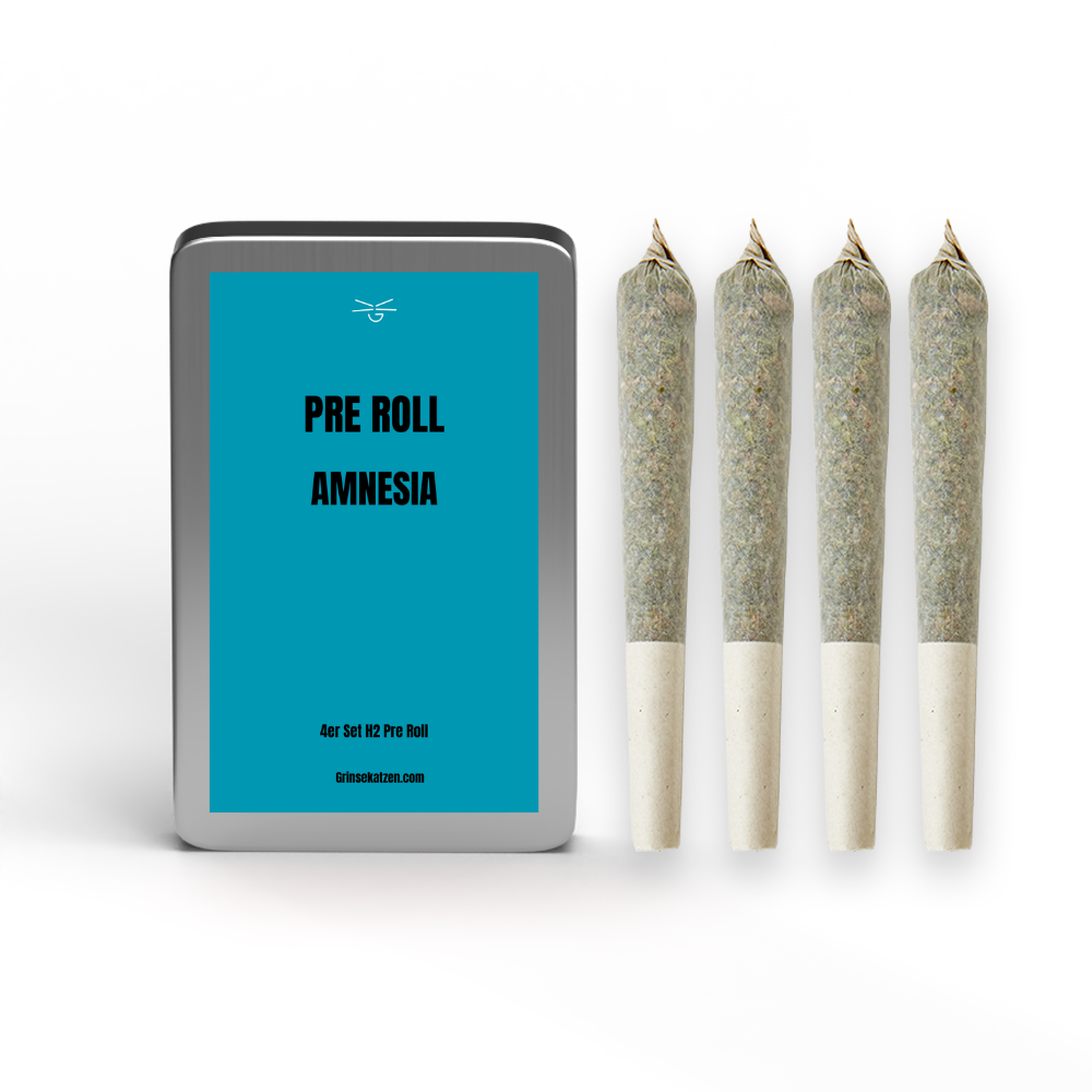 H2 4er Pre Roll - Amnesia Haze 20%