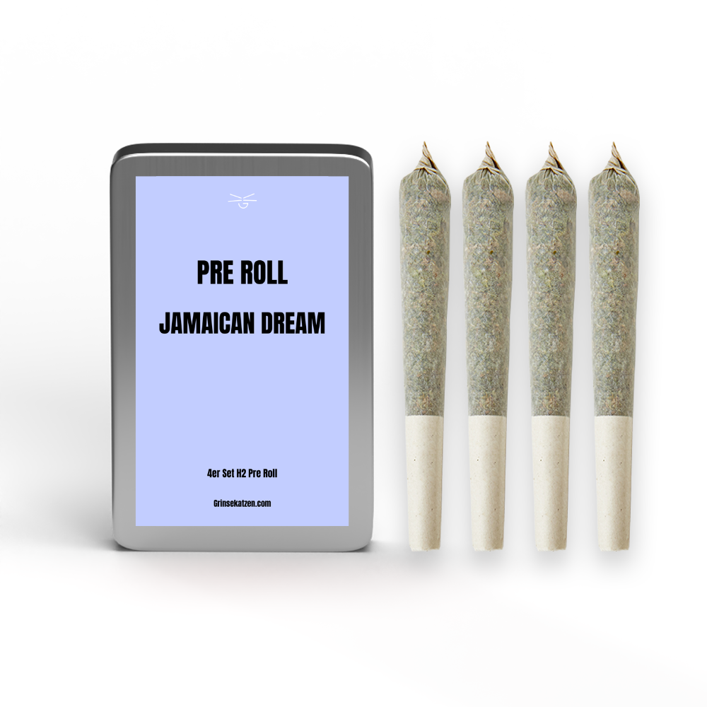 H2 4er Pre Roll - Jamaican Dream 22%