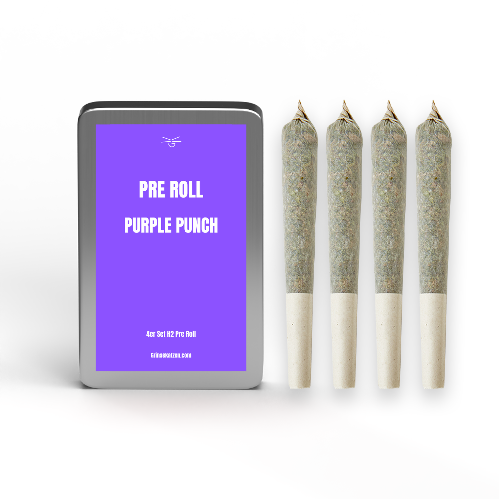 H2 4er Pre Roll - Purple Punch 27%