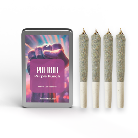 CBD 4er Pre Roll - Purple Punch