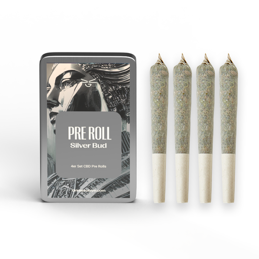 CBD 4er Pre Roll - Silver Bud