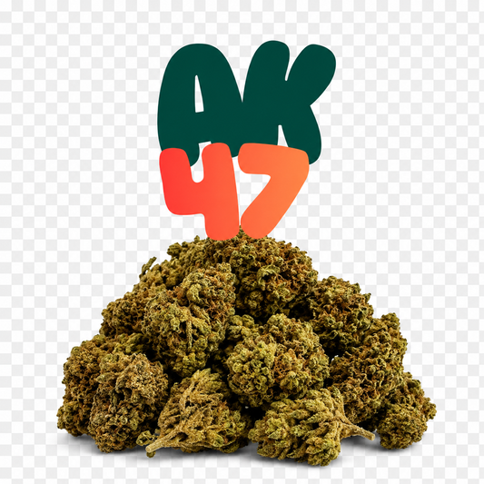 AK-47 H2 24%